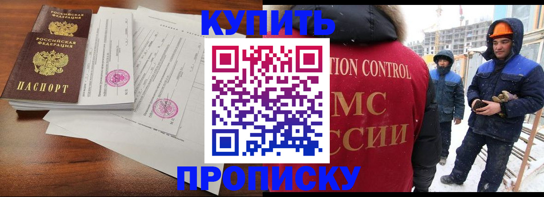 прописка законно в Борзе